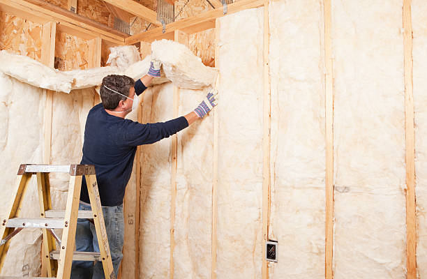 Best Insulation Air Sealing  in South Lebanon, OH